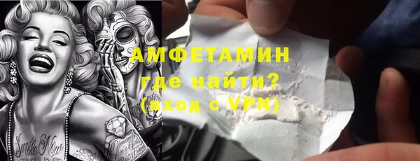 PSILOCYBIN Каменка