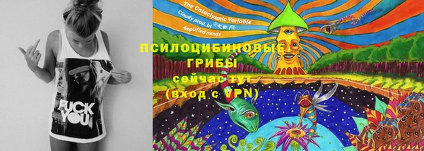 спиды Каменск-Шахтинский