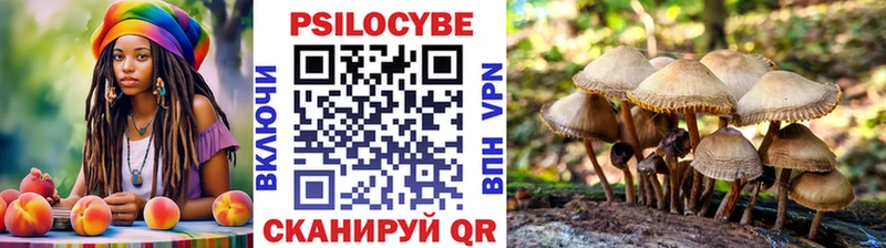 блэк спрут сайт Сольцы Псилоцибиновые грибы Magic Shrooms где продают
